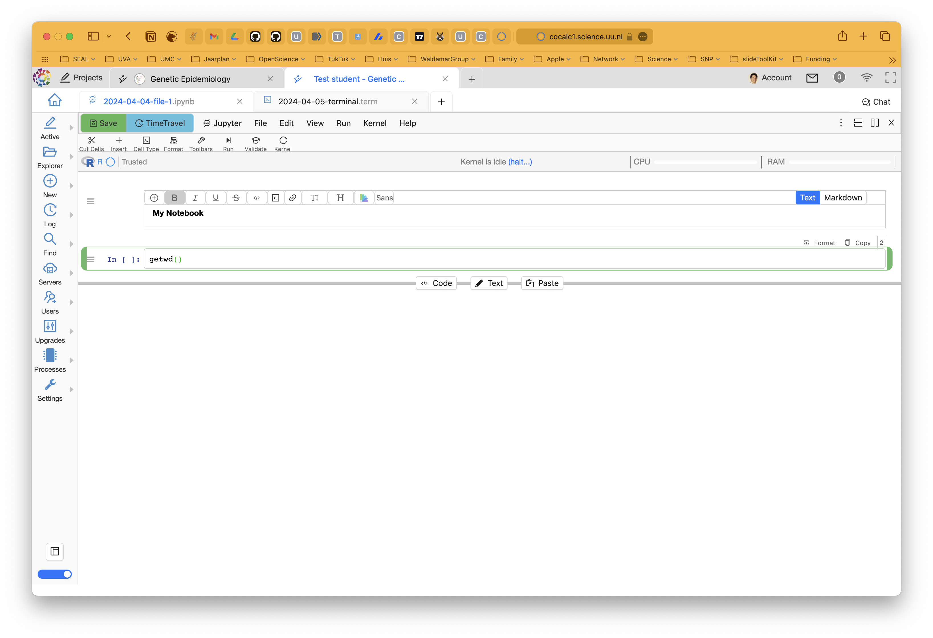 CoCalc get working directory.