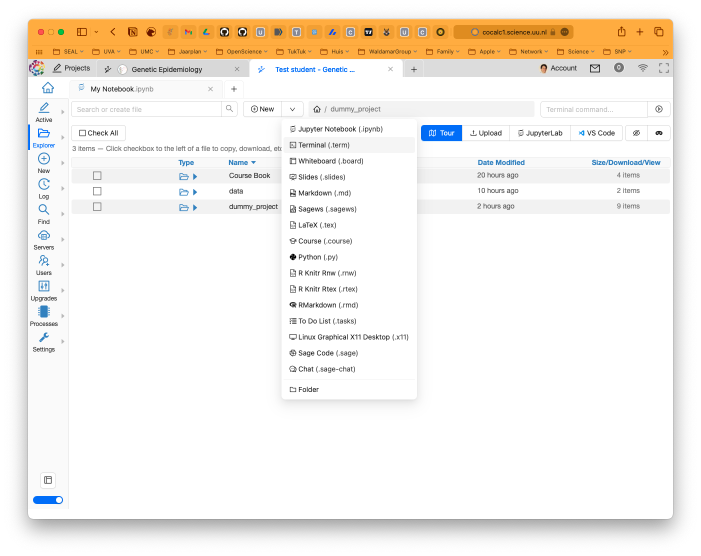 CoCalc new terminal.