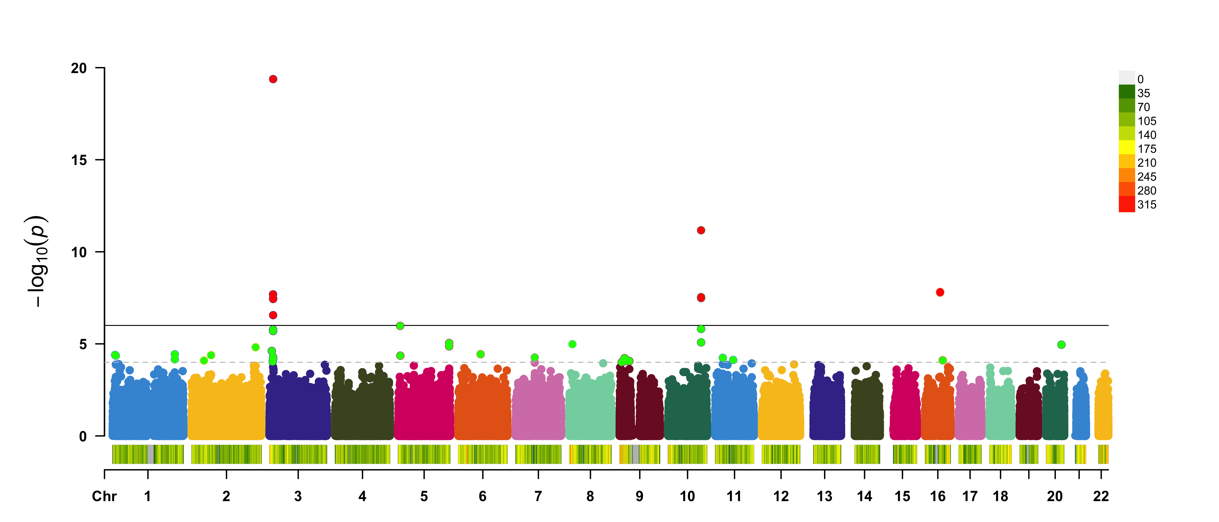 A regular manhattan plot. Colored by chromosome, suggestive hits are green, genome-wide hits are red. The bottom graph shows the per-chromosome SNP density.